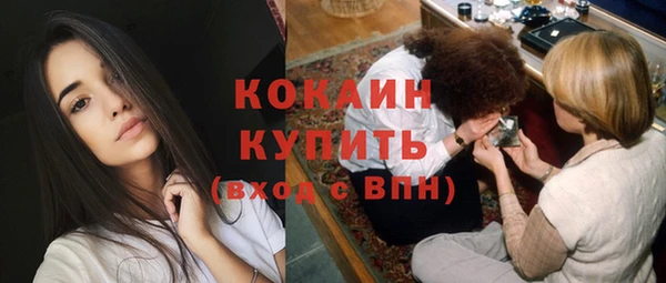 крисы Вязьма