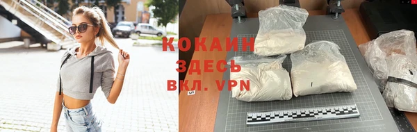 крисы Вязьма