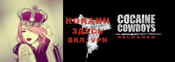 крисы Вязьма
