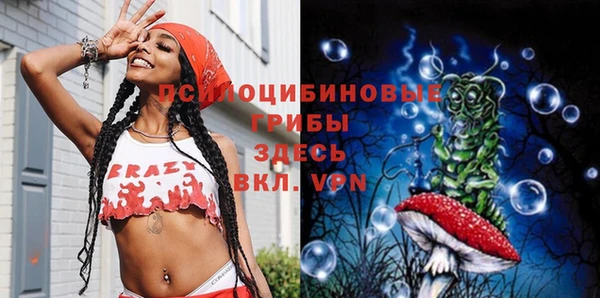 крисы Вязьма