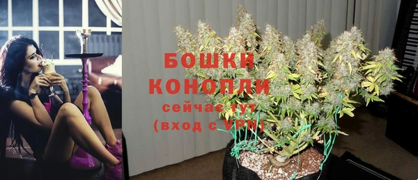 крисы Вязьма
