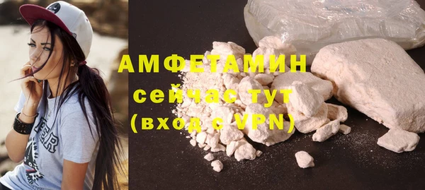 крисы Вязьма
