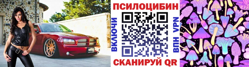 Галлюциногенные грибы мухоморы  Гаврилов Посад 